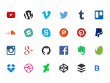 Which social media website do you use the most?