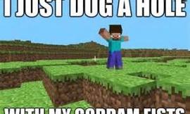 What are you in minecraft? (please comment)