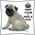Which Pug Be Cuter?