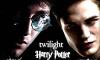 Harry Potter? or Twilight?