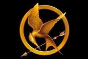 Who should have won the Hunger Games?