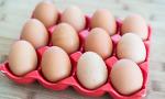 Which egg food is your favorite: Boiled Egg, Half-Fried Egg or Omelette?