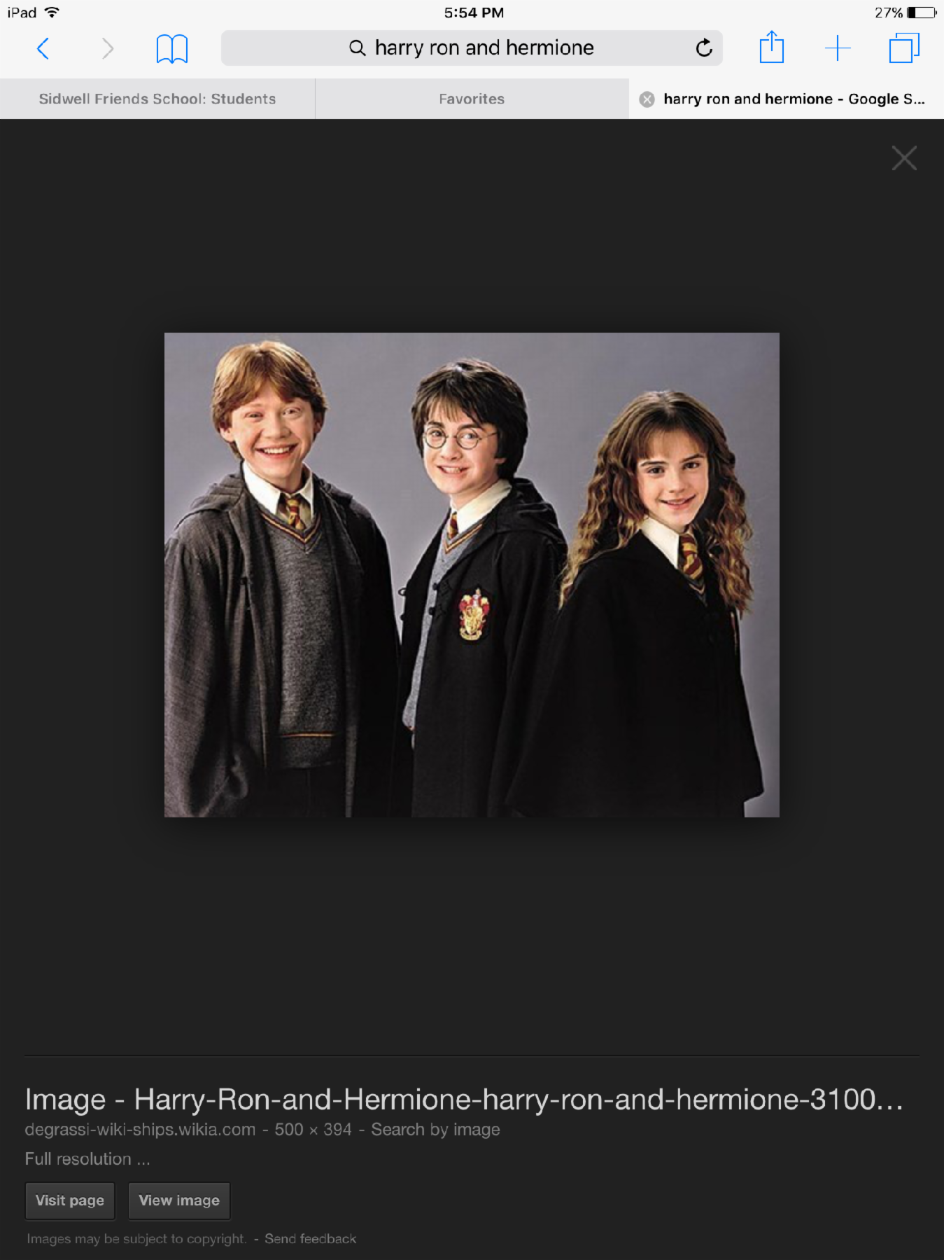 Who do you like best? Harry Ron or Hermione