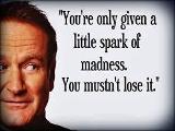 What is your favorite Robin Williams Movie/show?