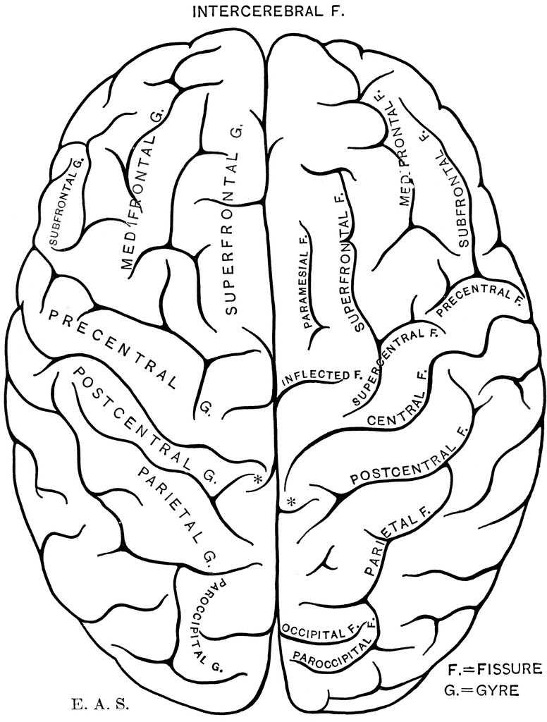 Is it better to be Creative or Logical?