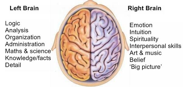 Are You Left-Brained or Right-Brained?