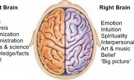 Are You Left-Brained or Right-Brained?