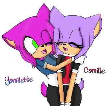 Whose Better Camille The Hedgehog Or Yamilette The Hedgehog You Decide Whose Better Camille The Hedgehog Or Yamilette The Hedgehog You Decide
