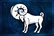 What is your zodiac? (1)