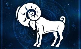 What is your zodiac? (1)