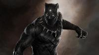Please rate Black Panther movie