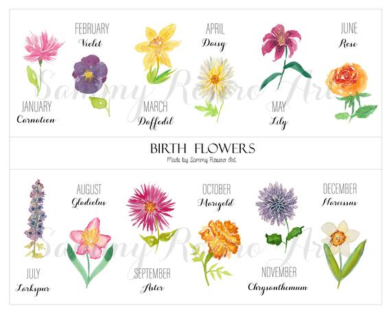 What is your birth month flower?