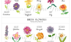 What is your birth month flower?