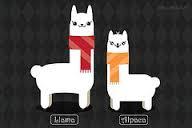 Llamas or Alpacas