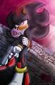 Which girl is better for Shadow The Hedgehog?