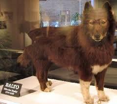 Should there be a Balto 4 or A tv show on Balto?