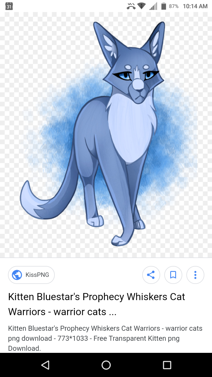 From The first warrior cat book who would you want leader