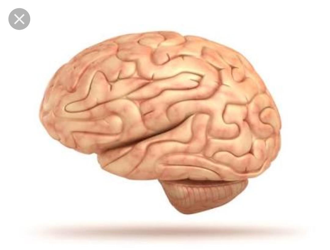 Which fictional high school brain would you be? Which fictional high school brain would you be?