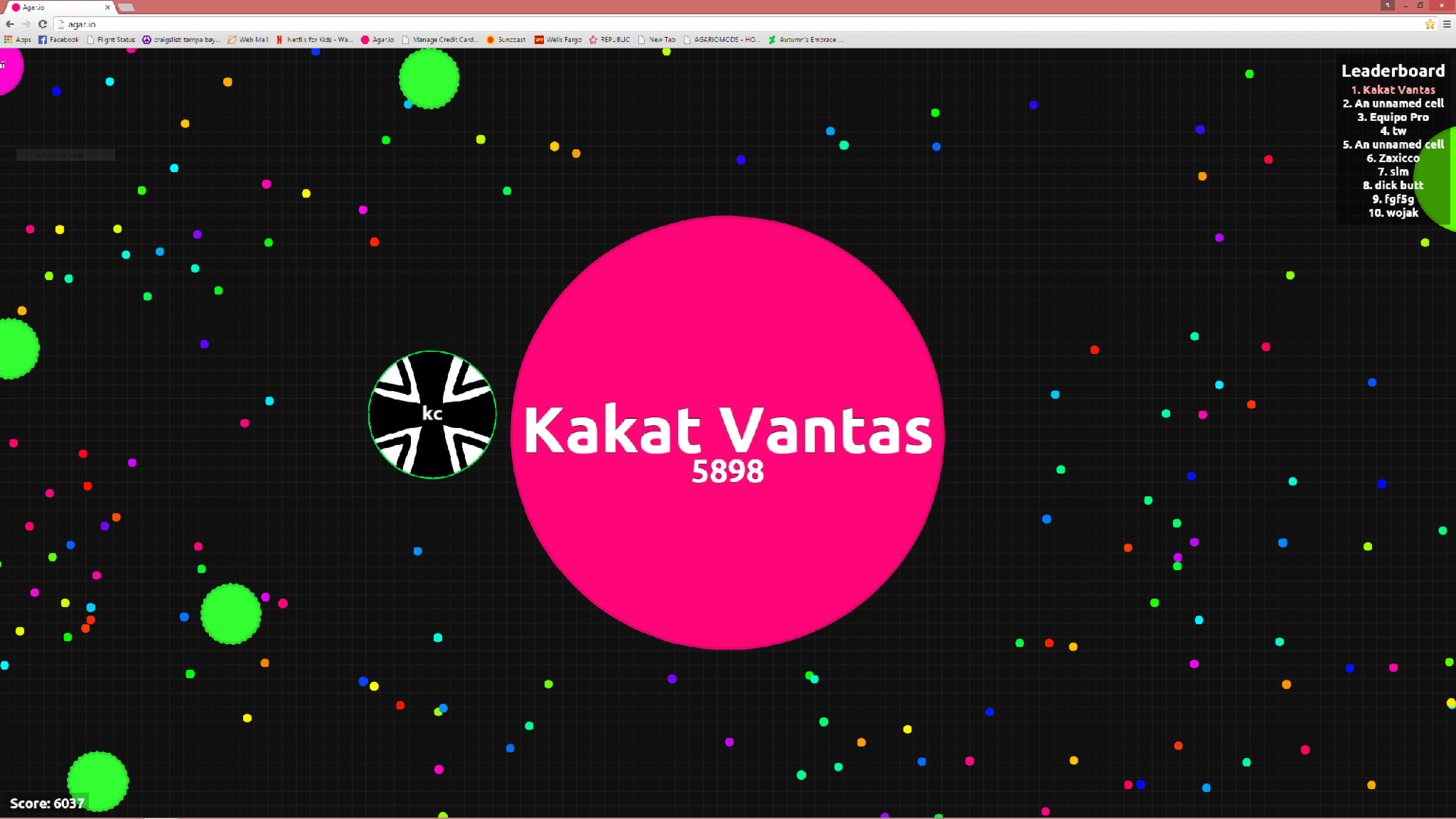 What's your highest rank on Agar.io?