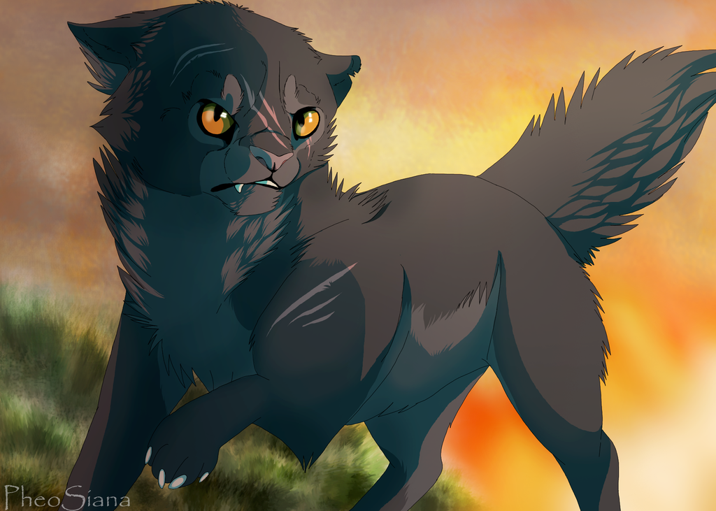 Who do you think was a better mentor for yellowfang?