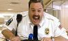 Did you enjoy the movie Paul Blart: Mall Cop?