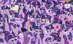 what do you think of twilight sparkle? (1)