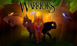 what warrior series do you like the best?