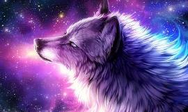 Which tattoo of a wolf is better? I might get one of these when I'm older