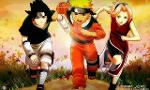 Pick which Naruto Character is the best