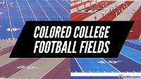 Favorite color for football fields?