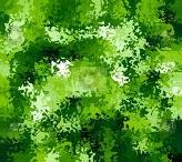 Green splatter