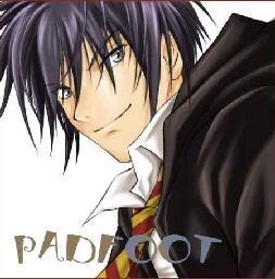 Padfoot! Padfoot!