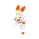 #813 Scorbunny