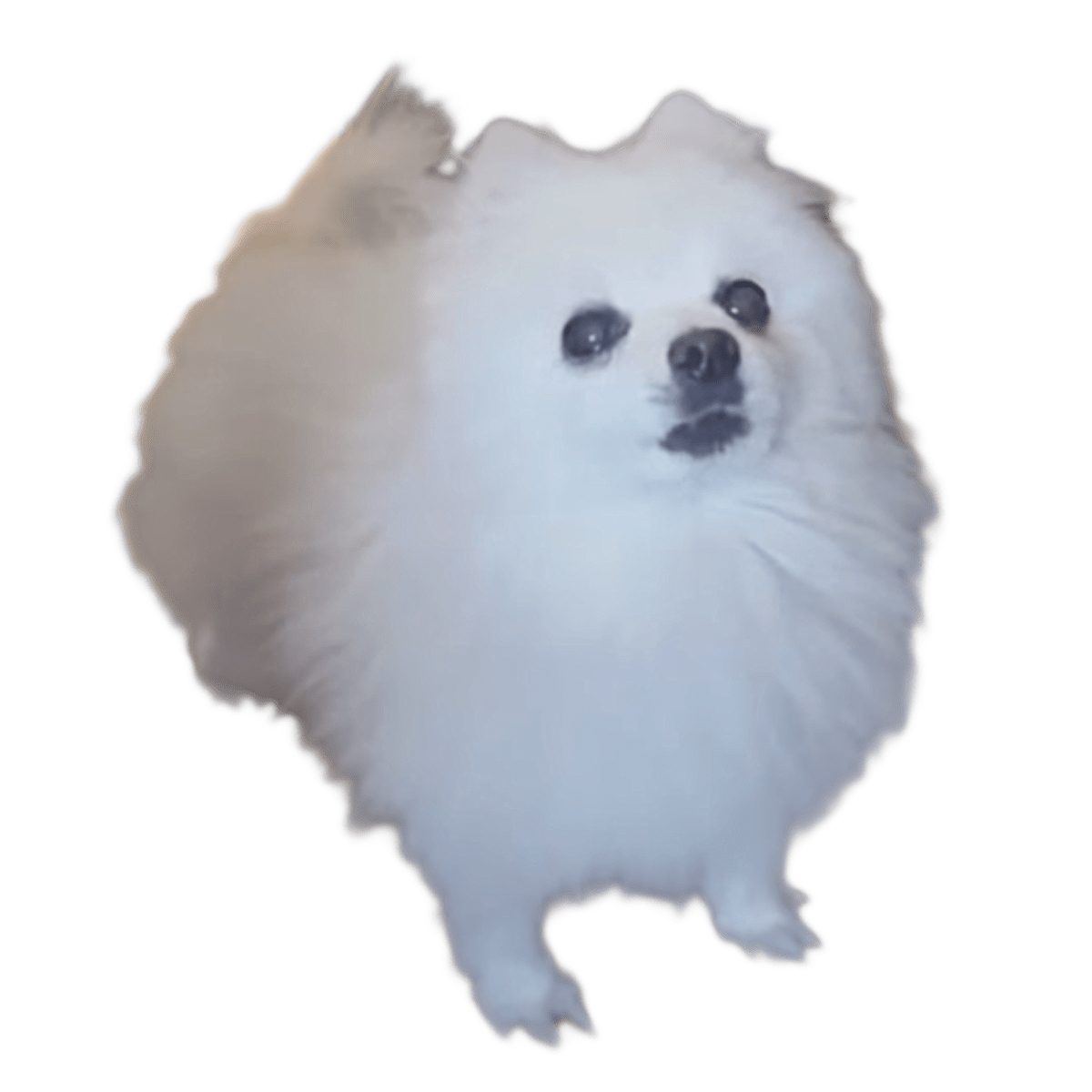 Gabe Gabe