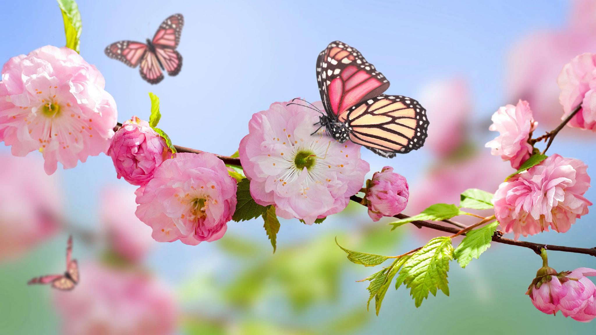 Spring... Spring...