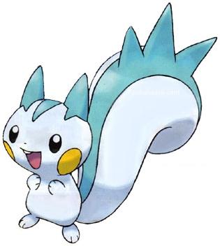 Pachirisu Pachirisu