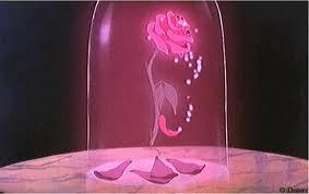 Rose Rose