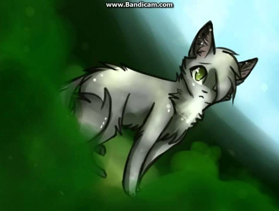 Dovewing Dovewing