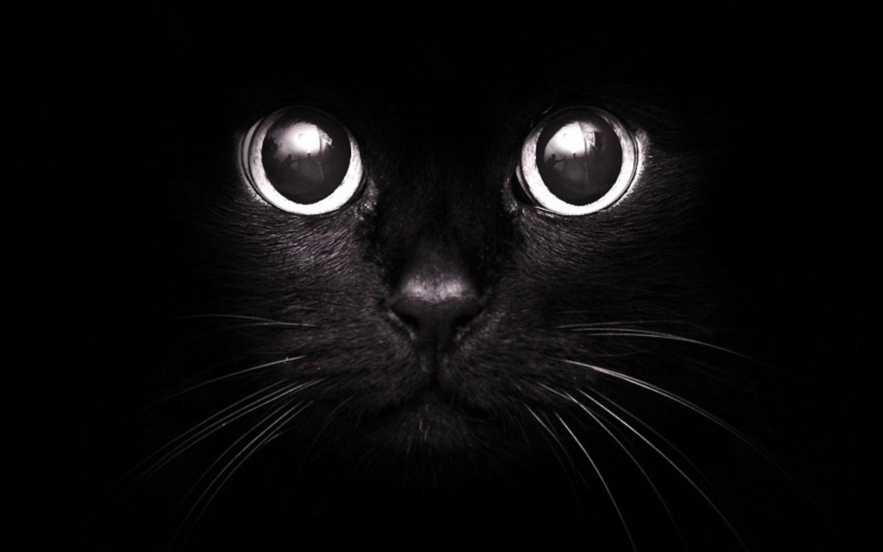 black black