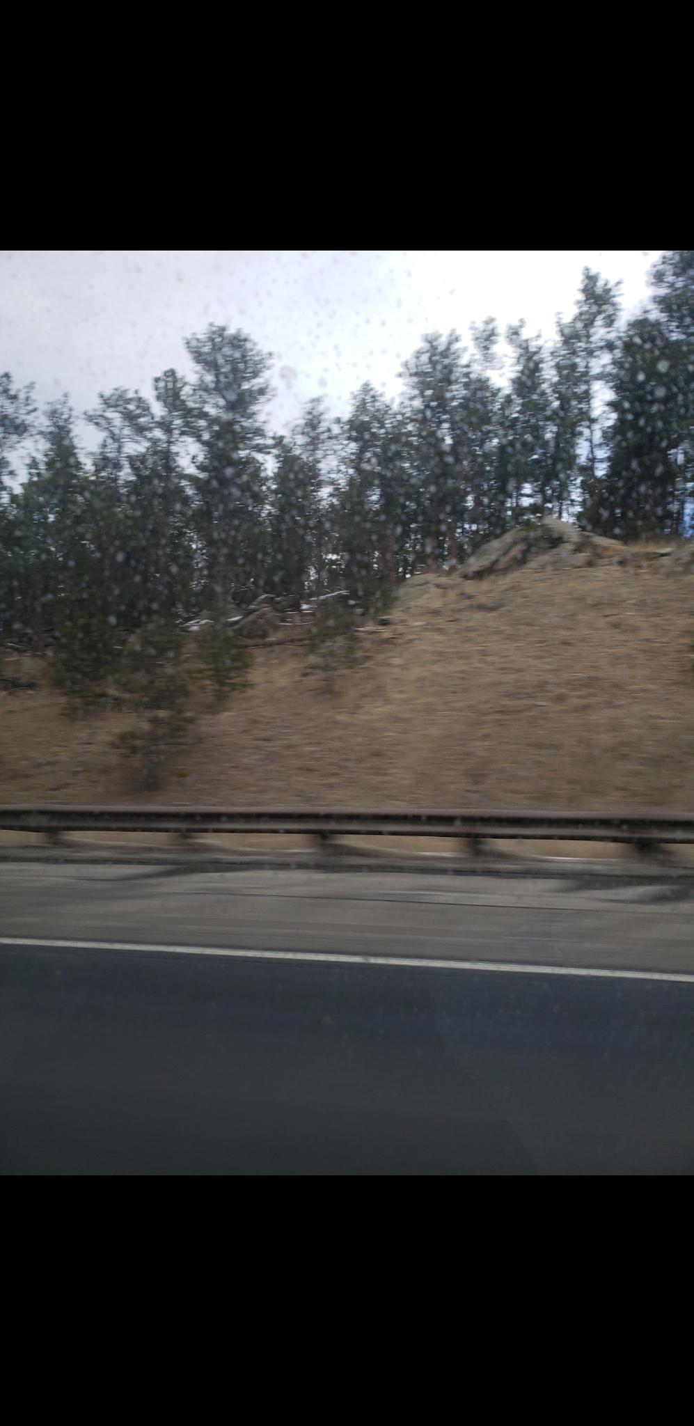 Trees
