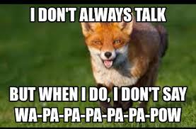 what does the fox say what does the fox say