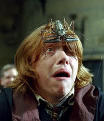 Ron Weasley Ron Weasley
