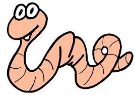 worm worm