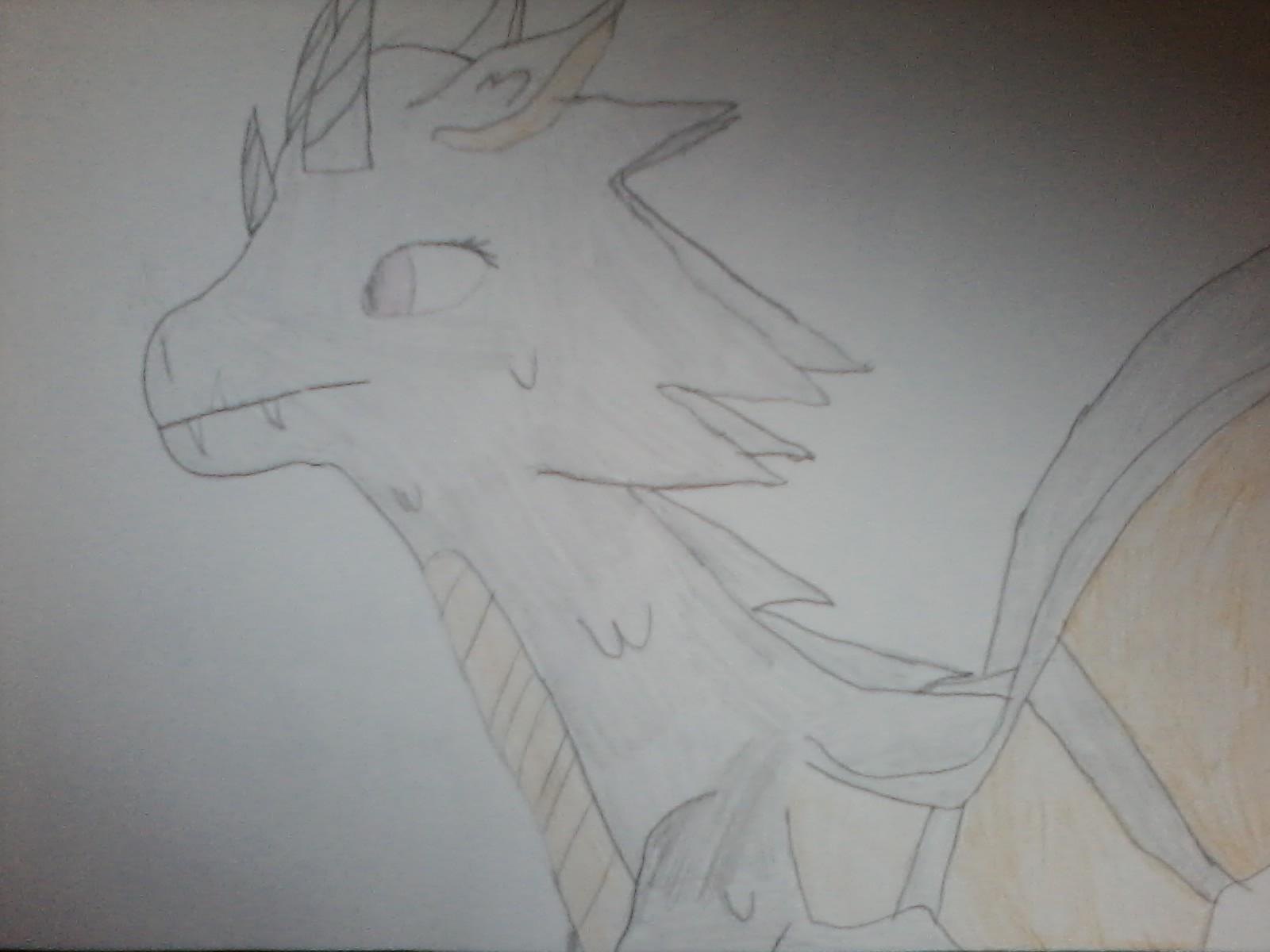 Dragon Dragon