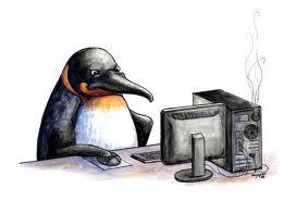 Other (if you select this you're a penguin and if you are you are highly advanced and I'm sending government officials your way)