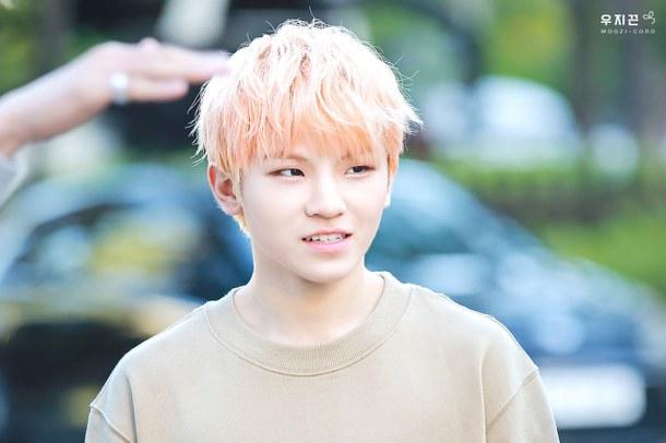 Woozi Woozi