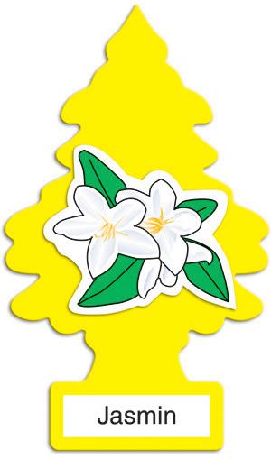 Jasmin