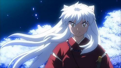 Inuyasha Inuyasha