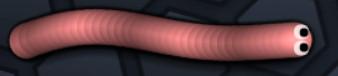 skin 19 skin 19