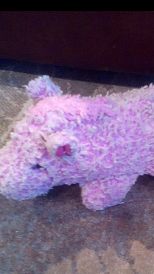 Purple Pony Purple Pony